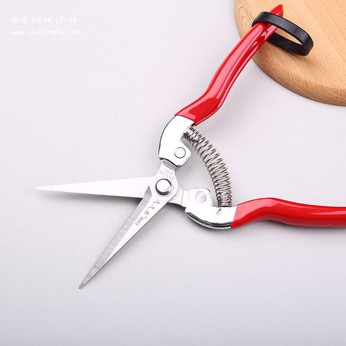 引領電商視覺升級 專業(yè)產(chǎn)品拍攝與頁面設計服務