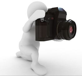 來自發(fā)際線男孩的凝視 當(dāng)免費(fèi)遭遇“別碰”的攝影服務(wù)